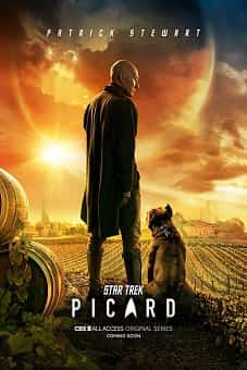 Star Trek-Picard S01-E05flixtor