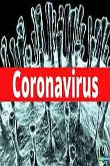 Documental Coronavirus 2020 HDflixtor